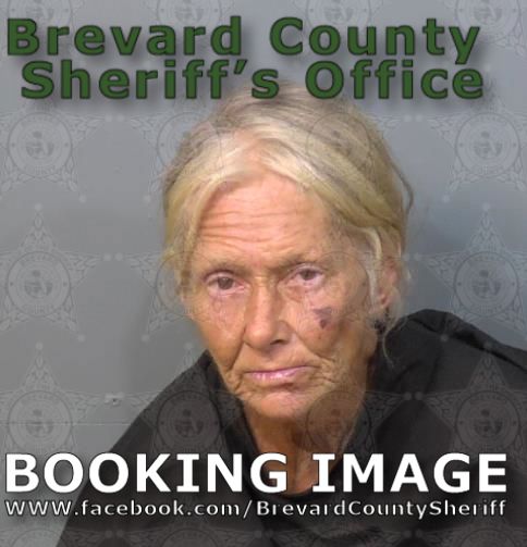 Mugshot of Denise Lynne Jones