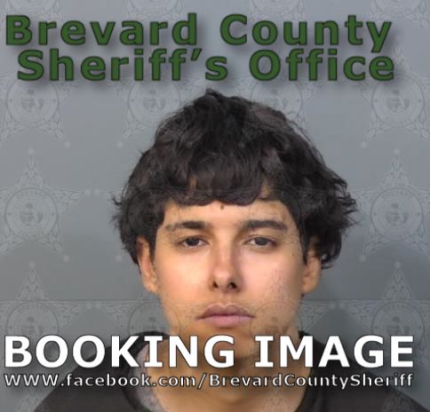 Mugshot of Destiny Luz Margarita Cotto