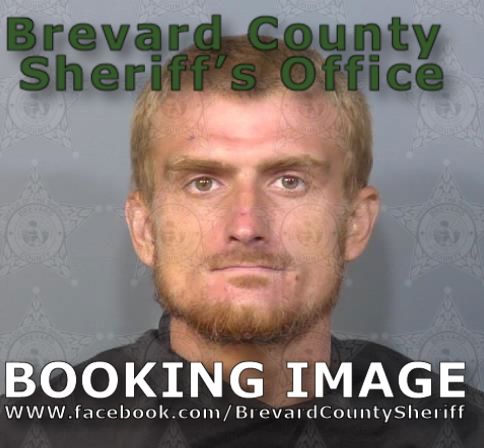 Mugshot of Cody Allen Ellis