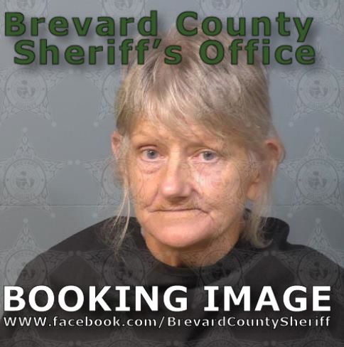 Mugshot of Lisa Ann Berry