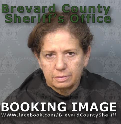 Mugshot of Lizet Ferris Dibernardo