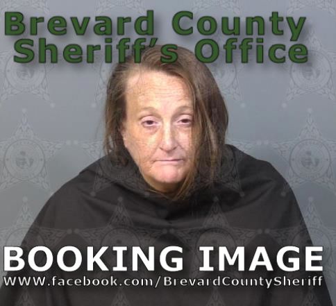 Mugshot of Heather Dawn Koehler