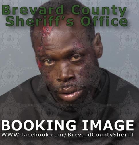 Mugshot of Wayne Carlton Brown