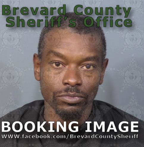 Mugshot of Peyton Frank Sipp