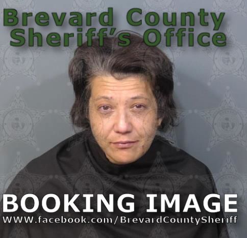 Mugshot of Brittany Elizabeth Stiefel