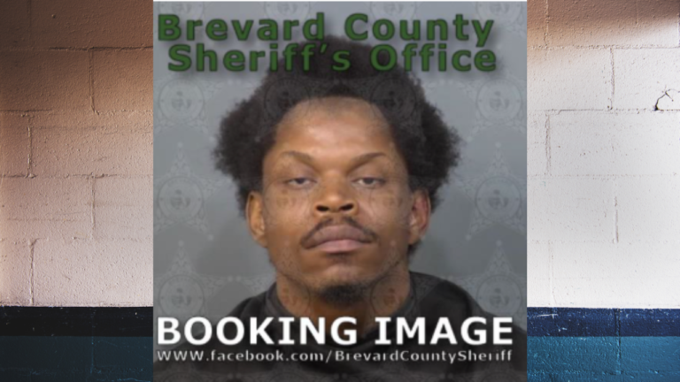 Palm Bay Man Charged With 15 Counts of Sexual Battery on Teen After Admitting Repeated Assaults