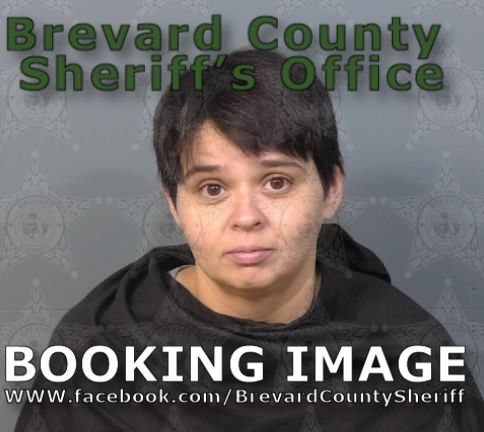 Mugshot of Aliscia Elena Garcia