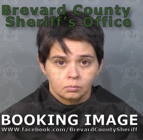 Mugshot of Aliscia Elena Garcia