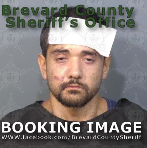 Mugshot of William James Busby