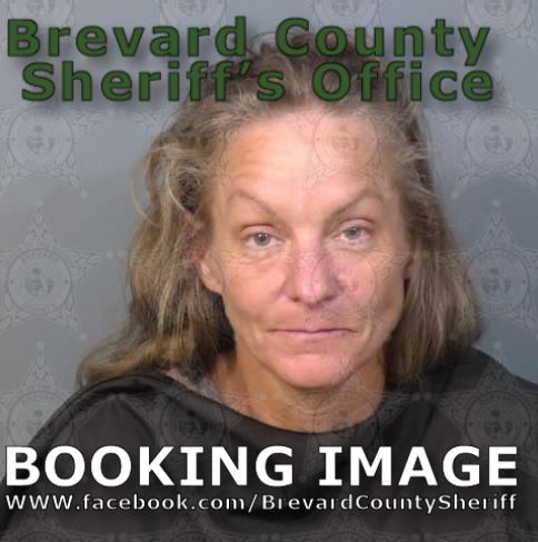 Mugshot of Donna Farrell Schaffer
