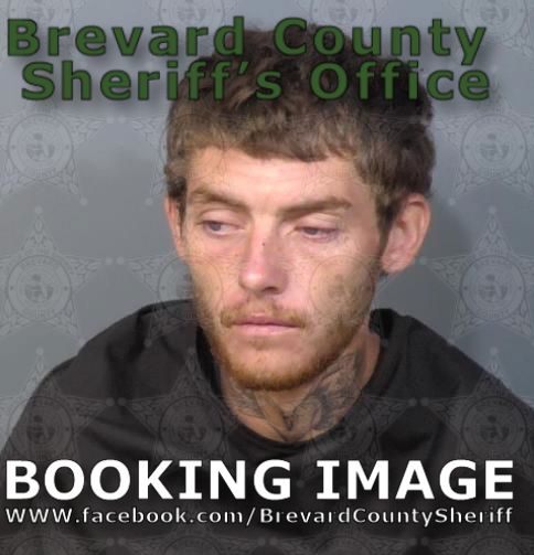 Mugshot of Johnny Calvin Sells