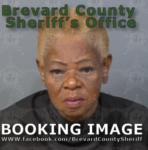 Mugshot of Vanessa Renee White