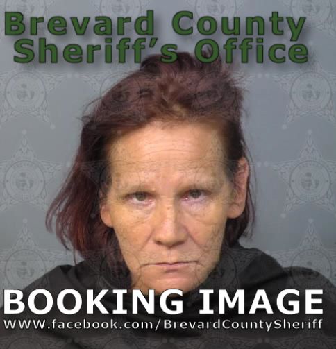 Mugshot of Virginia Mae Sager