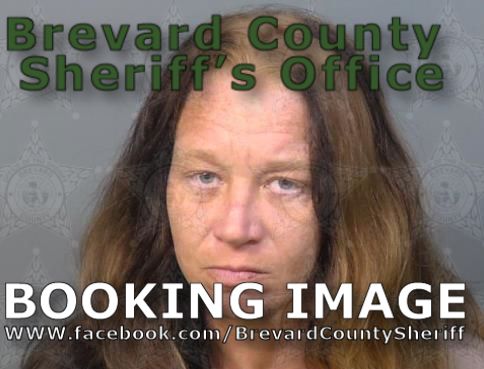 Mugshot of Karen Mechelle Mcginnis