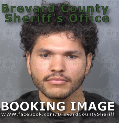 Mugshot of Hazael Van Flores