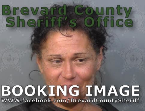 Mugshot of Amy Renee Skinner