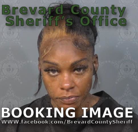 Mugshot of Ashley E Newton