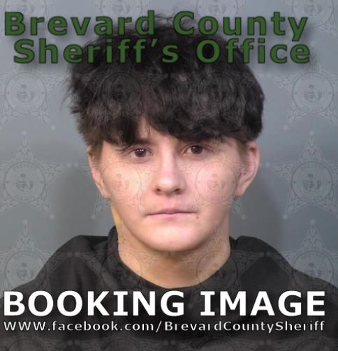 Mugshot of Gianna Minter