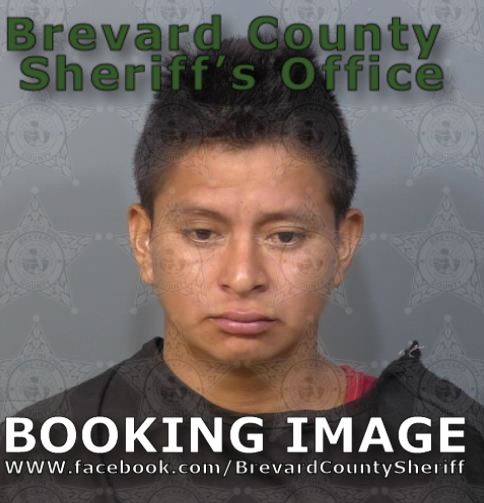 Mugshot of Wilmar Luis Sanchez