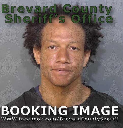 Mugshot of Rain Joel Pipkins