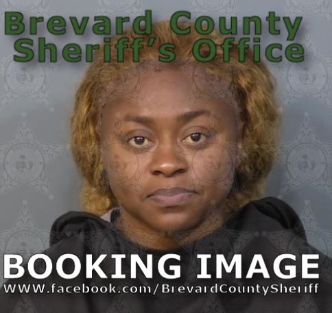 Mugshot of Ashley Nicole Dorilus Mckay