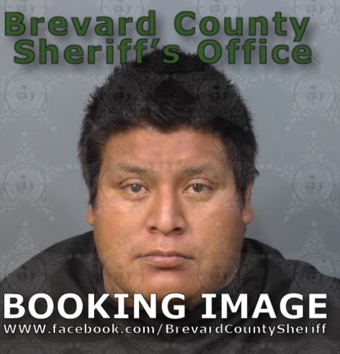 Mugshot of Tomas Elias Grijalva Lopez