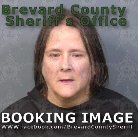 Mugshot of Dawn Marie Bailey