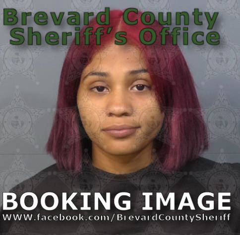 Mugshot of Ashley Nicol De Jesus Vazquez