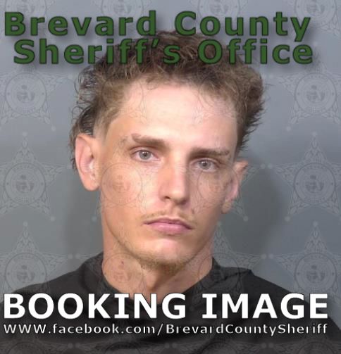Mugshot of Dominic Steven Andrews