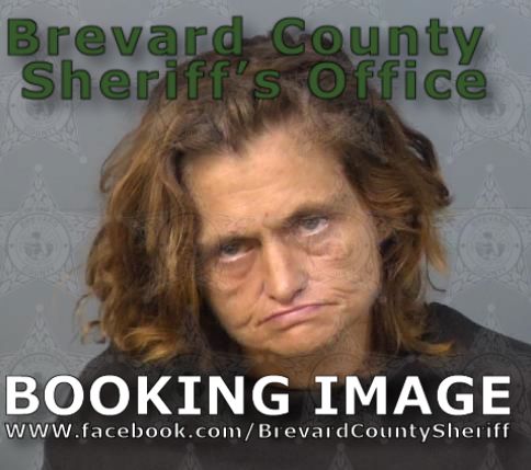 Mugshot of Rebecca Delaine Denny