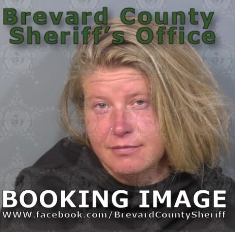 Mugshot of April Marie Vecere