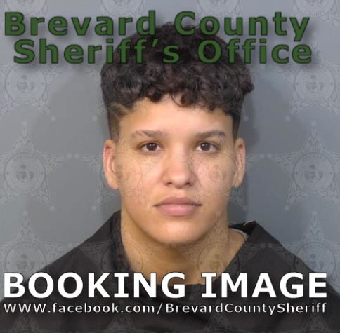 Mugshot of Tanairy Lee Rose Castro Rios