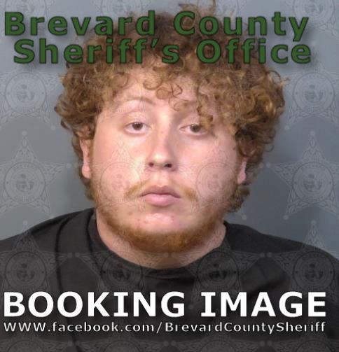 Mugshot of Ryan Alexander Musten