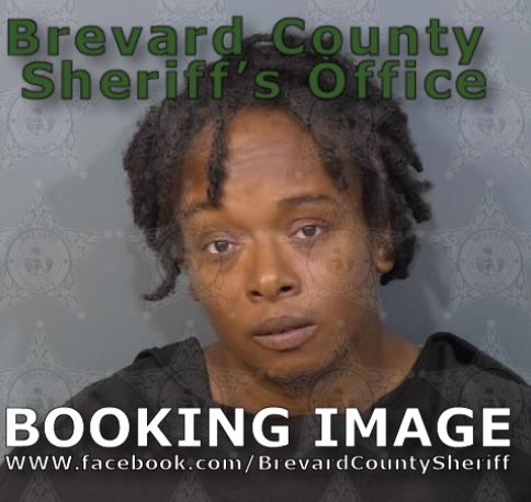 Mugshot of Timqueta Lashae Evaietae Curry