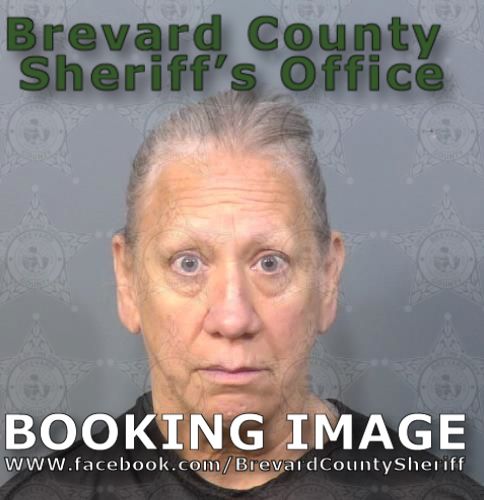 Mugshot of Dawn Ann Mangano