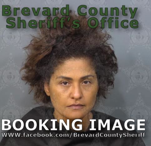Mugshot of Ilka E Encarnacion Arias