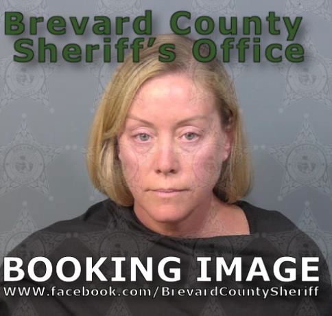 Mugshot of Amanda Goode Schneider