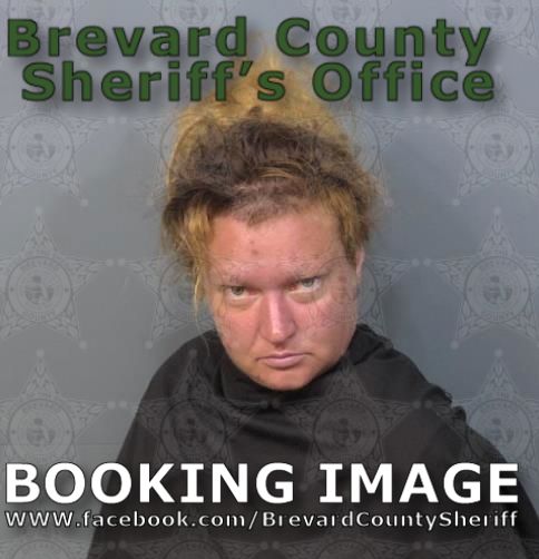 Mugshot of Sky Starr Hestad