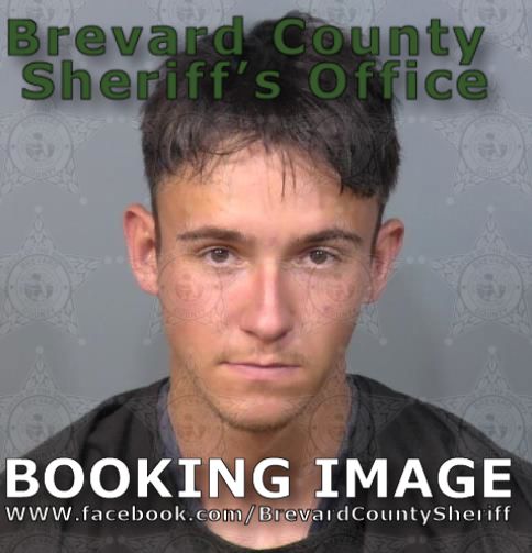 Mugshot of Gavin Taylor Jess