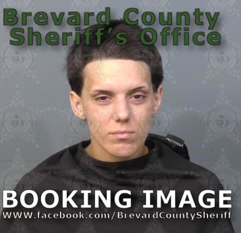 Mugshot of Brianne Elizabeth Barra