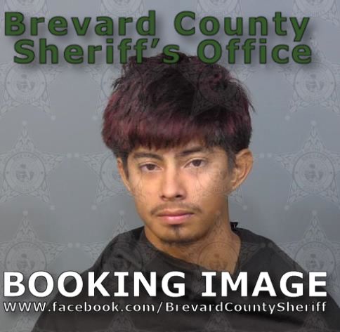 Mugshot of Anderson Daniel Grijalva