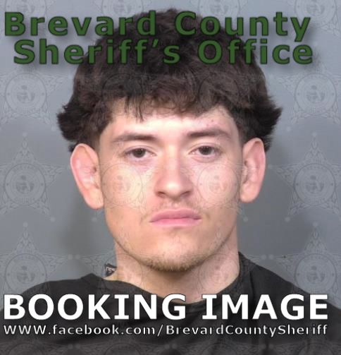 Mugshot of Gaven Michael Vanburen