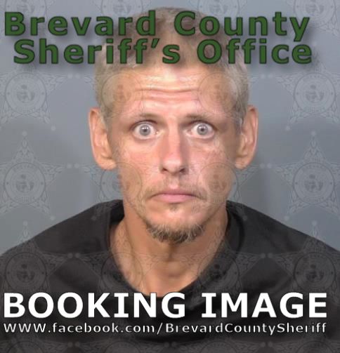 Mugshot of Anthony J Reed
