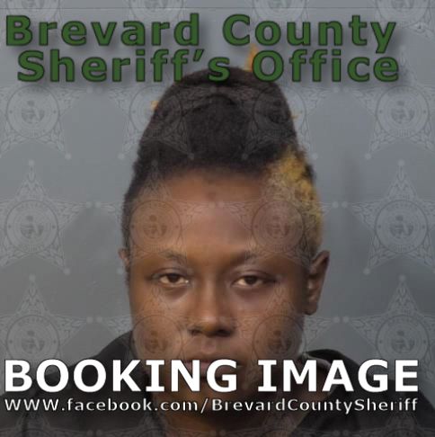 Mugshot of Anqwanette Shanell Holloway