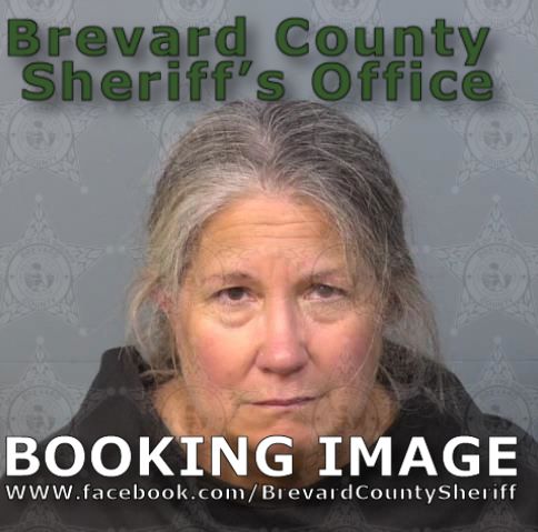 Mugshot of Tina Garcia Conover