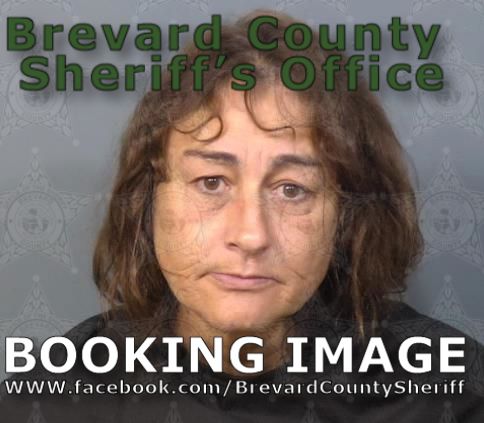 Mugshot of Patricia Ann Wilson