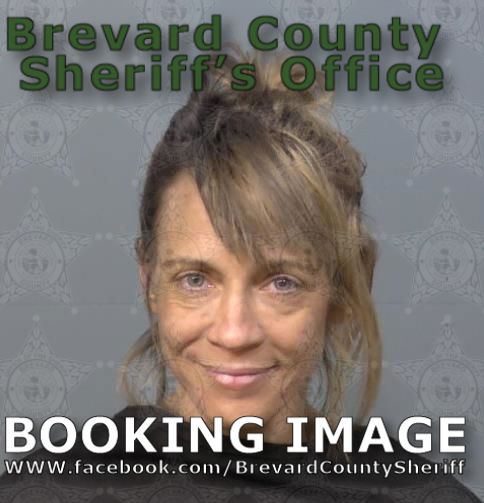 Mugshot of Brianne Lorin Turner