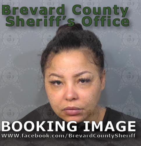 Mugshot of Veronica Hamlet