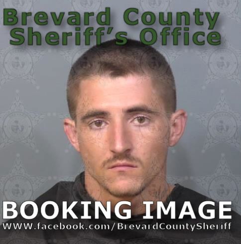 Mugshot of Dylan Scott Ball