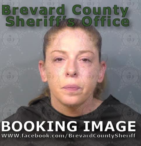 Mugshot of Vanessa Louise Conwell